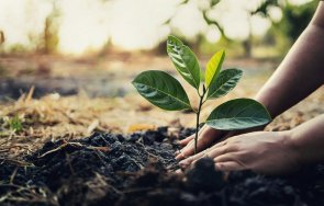 ученици ловешки училища засадят 100 дръвчета