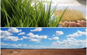 продавайте земя късно цената падне