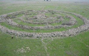 сензация учени открили следи расата библейските гиганти видео