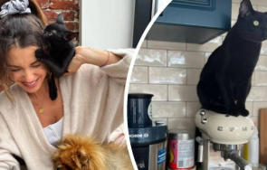 Диляна Котка