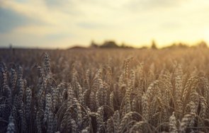 германия предупреждава гладна 2023 година