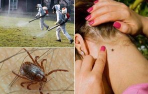 внимание бум кърлежи великденските празници