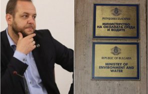 мосв оставиха тинята рибите хората снимка