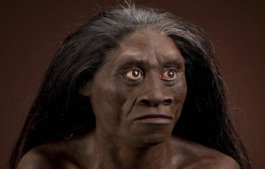 версия хобитите все крият индонезия