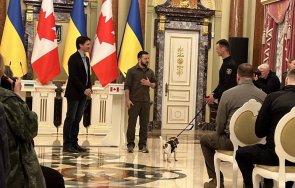 зеленски награди кучето сапьор открило 150 мини снимки