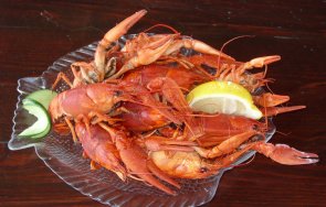 порция раци 600 евро миконос