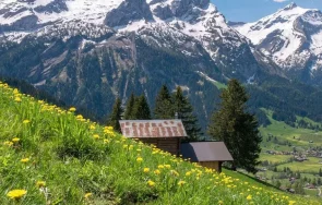 какви чудовища крият швейцарските алпи