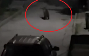 тъмна доба баба меца всява страх сред жителите чепеларе