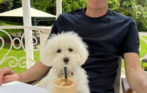 Зинедин Зидан