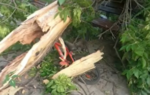 паднал клон уби майка дете пловдив