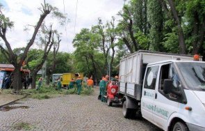 разследват сделка млн лева пловдивските градини паркове