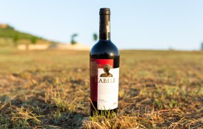 доброто българско вино жъне големи успехи чужбина снимки