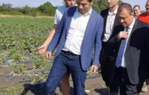 мрежата ври късат просто киро подигравки гумените ботуши нивата 