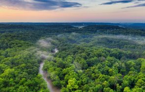 британски журналист бразилски експерт изчезнаха мистериозно амазония