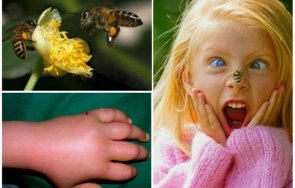 добрите природни средства ухапване пчела