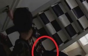 журналистът ивелин николов проблемът видеото киро лена