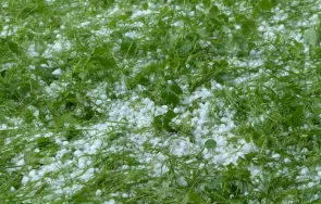 комисия описва щетите пороя вършец