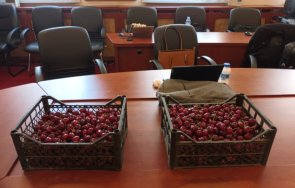 бсп две щайги кюстендилски череши журналистите