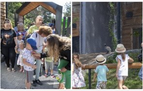 митрополит киприан освети ремонтирания зоопарк стара загора