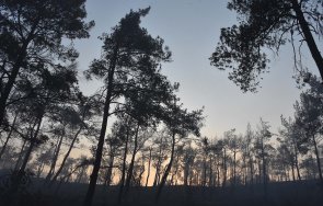 огромен горски пожар бушува мармарис 360 пожарни гасят огъня снимки видео
