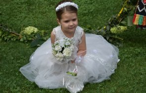 асеновград изпъстри 250 слънчови невести снимки