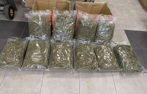 Над 11 кг марихуана откриха митничари в контейнер за смет на Капитан Андреево