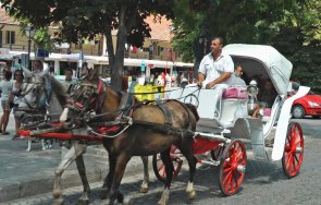 файтон заби заведение созопол пострада млада жена