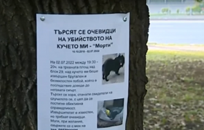 зверство пребиха смърт домашно куче площадка софия