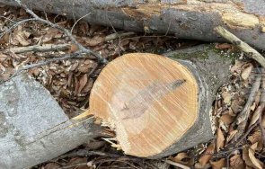 трийсет шестгодишен мъж черепно мозъчна травма трудова злополука