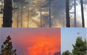 голям пожар халкидики видео