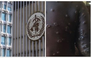 сзо обяви епидемията маймунската шарка глобална опасност