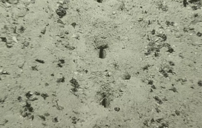 линии загадъчни дупки открити дъното атлантическия океан снимки