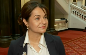 дебъ предизборна коалиция гошо боец