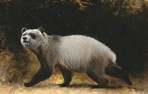 невероятно голяма панда живяла нашите земи шест милиона години