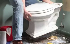 каналджия съветва никога изхвърляйте тоалетната