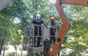 пожарникари обезопасиха детска площадка пловдив