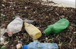 събран боклук собственик плажно заведение поморие раздава безплатно напитки