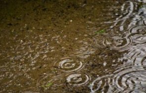 учени откриха опасни токсични вещества дъждовната вода