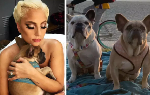 години затвор един похитителите булдозите лейди гага