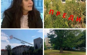 граждани красно село сами почистват буренясал училищен двор кметицата станиславова мръдва пръста