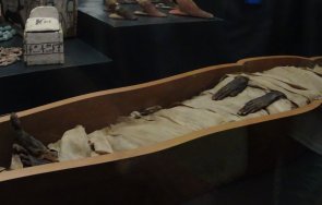 седемте известни мумии света какви тайни успяха разкрият учените