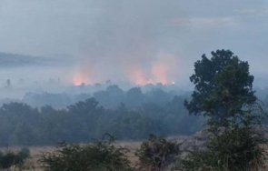 опасността остава продължава борбата пожарите хасковско