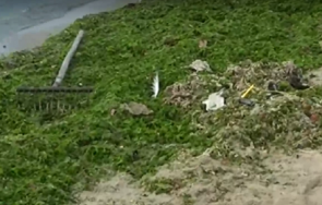 гнусно болнични отпадъци изплуваха плаж варна