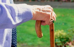 ербап баба бастун крадец сви ракия буркани туршия