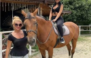 теди кацарова уроци повелителката конете