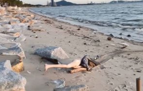 секс играчка предизвика потрес паника плаж