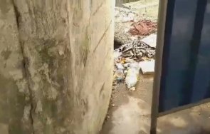 клошар подлез дружба плаши жителите квартала