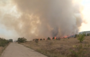 огромни щети пожарът враца глътна 300 кошера пчели тона мед