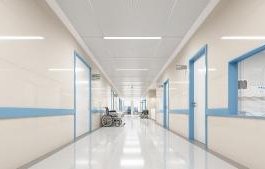 здравният министър португалия подаде оставка заради закрити акушерски центрове