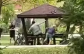 тийнейджъри изгавриха мъж пловдивски парк снимат изстъплението